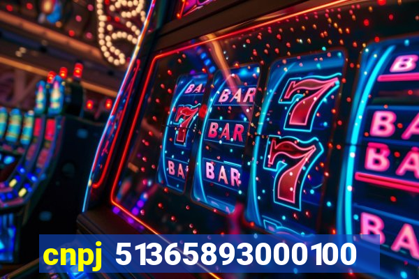 cnpj 51365893000100